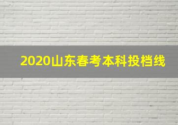 2020山东春考本科投档线