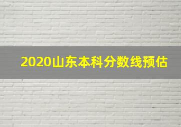 2020山东本科分数线预估