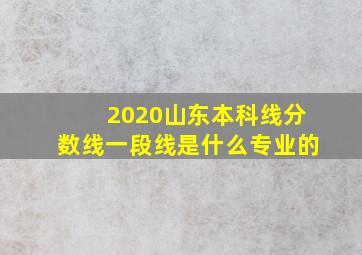 2020山东本科线分数线一段线是什么专业的