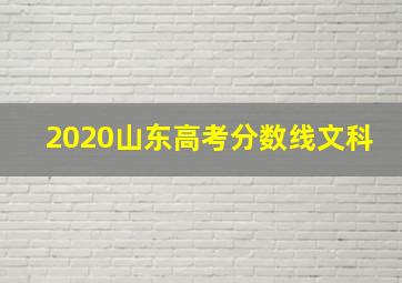 2020山东高考分数线文科