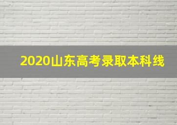 2020山东高考录取本科线