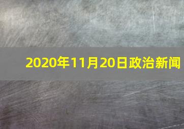 2020年11月20日政治新闻