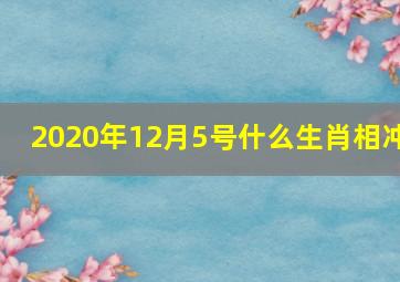 2020年12月5号什么生肖相冲