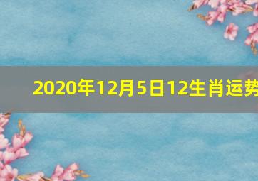 2020年12月5日12生肖运势