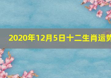 2020年12月5日十二生肖运势