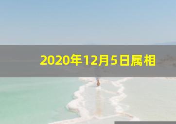 2020年12月5日属相