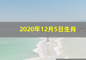 2020年12月5日生肖