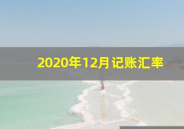 2020年12月记账汇率