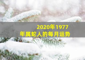 2020年1977年属蛇人的每月运势