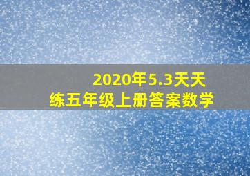 2020年5.3天天练五年级上册答案数学