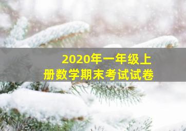 2020年一年级上册数学期末考试试卷