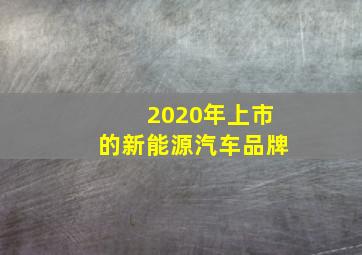 2020年上市的新能源汽车品牌