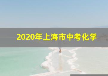 2020年上海市中考化学