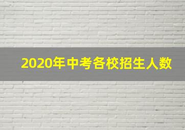 2020年中考各校招生人数