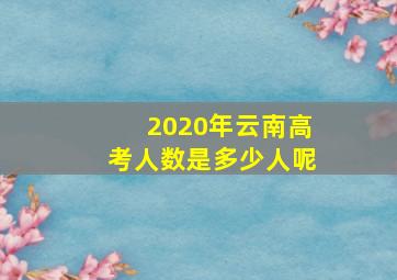 2020年云南高考人数是多少人呢