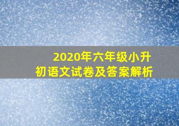 2020年六年级小升初语文试卷及答案解析