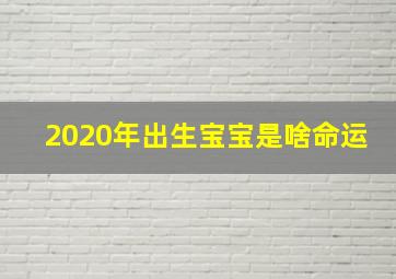 2020年出生宝宝是啥命运