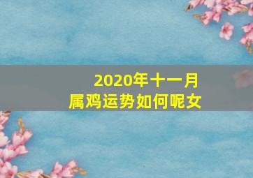 2020年十一月属鸡运势如何呢女