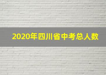 2020年四川省中考总人数