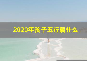 2020年孩子五行属什么