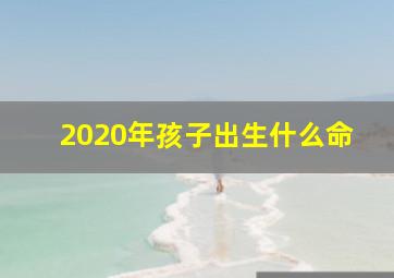 2020年孩子出生什么命