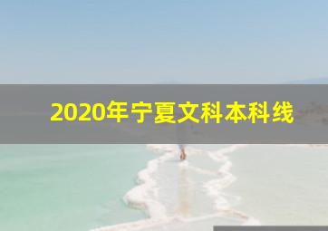 2020年宁夏文科本科线