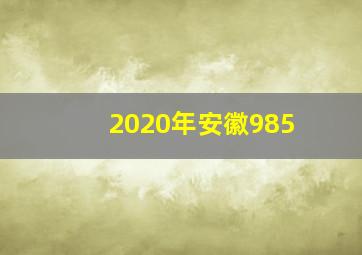 2020年安徽985