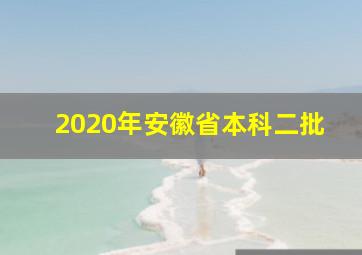 2020年安徽省本科二批