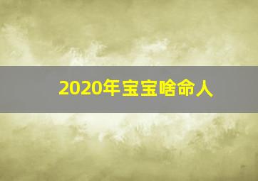 2020年宝宝啥命人