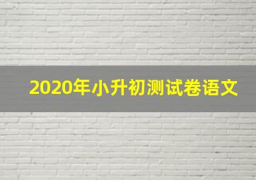 2020年小升初测试卷语文