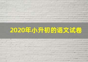 2020年小升初的语文试卷