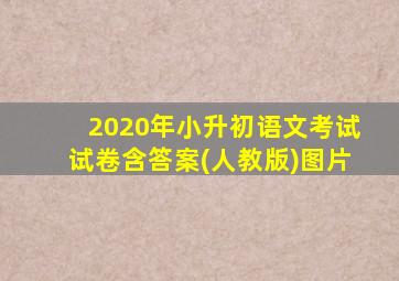 2020年小升初语文考试试卷含答案(人教版)图片