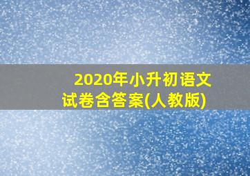 2020年小升初语文试卷含答案(人教版)