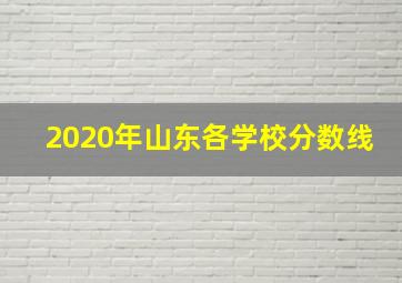 2020年山东各学校分数线