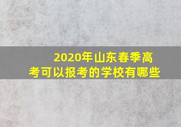 2020年山东春季高考可以报考的学校有哪些