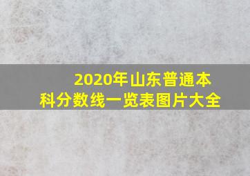 2020年山东普通本科分数线一览表图片大全