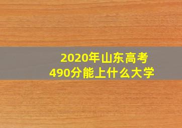 2020年山东高考490分能上什么大学