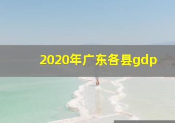 2020年广东各县gdp