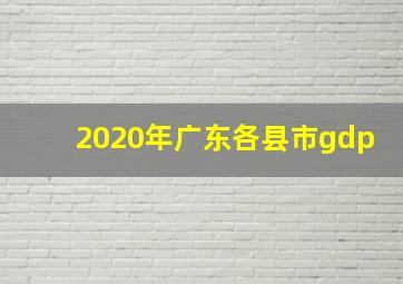 2020年广东各县市gdp