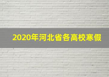 2020年河北省各高校寒假