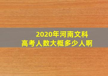 2020年河南文科高考人数大概多少人啊