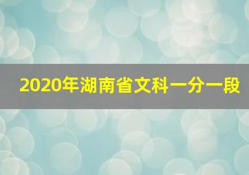 2020年湖南省文科一分一段