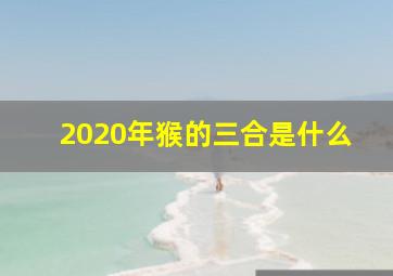 2020年猴的三合是什么