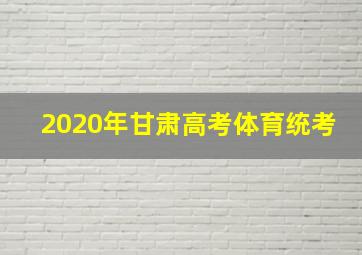 2020年甘肃高考体育统考