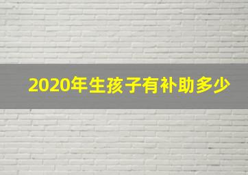 2020年生孩子有补助多少