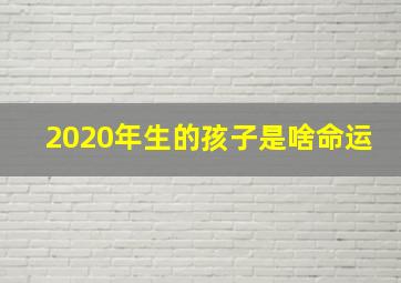 2020年生的孩子是啥命运