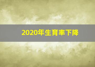 2020年生育率下降