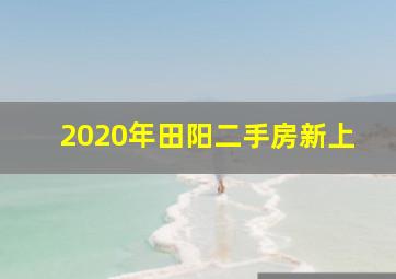 2020年田阳二手房新上