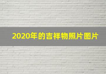 2020年的吉祥物照片图片