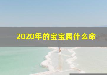 2020年的宝宝属什么命